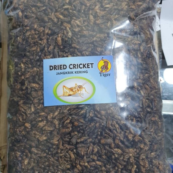Tiger 1Kg Jangkrik kering Pakan sugar gilder landak mini hamster gecko