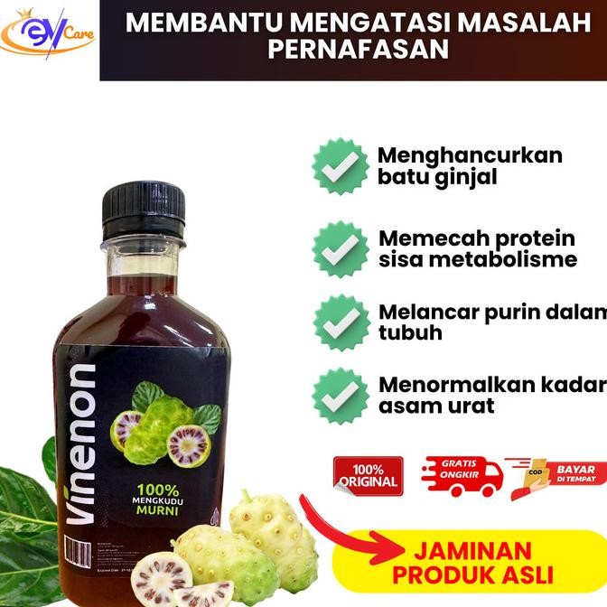 

Vinenon Cuka Mengkudu Obat Batu Ginjal Herbal Penghancur Batu Ginjal 300 ML