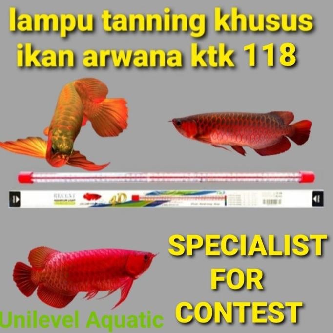 Murah Lampu Tanning Super Megah 4D Recent Ktk 118 Terlaris
