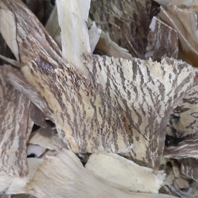 

:0:0:0] 100 gr Huang Qi Slice /Astraglus Radix/ Bei Qi / Huangqi Beiqi Pak khi