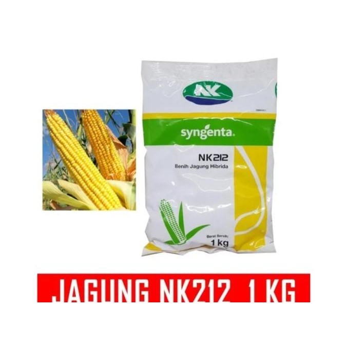 

(Good) benih Jagung NK 212 super 1kg