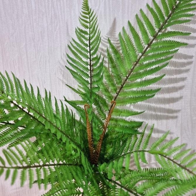 Daun Pakis Artificial / Pakis Cinnamon Artificial murah