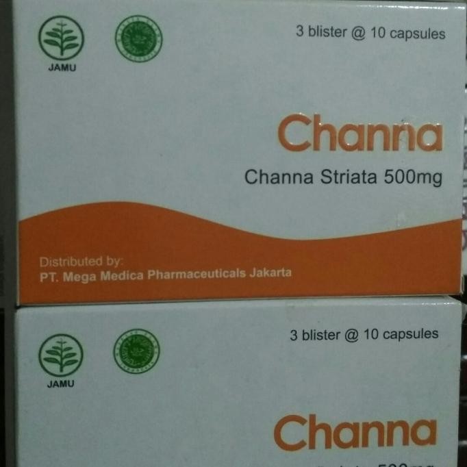 CHANNA STRIATA 500MG EKSTRAK IKAN GABUS