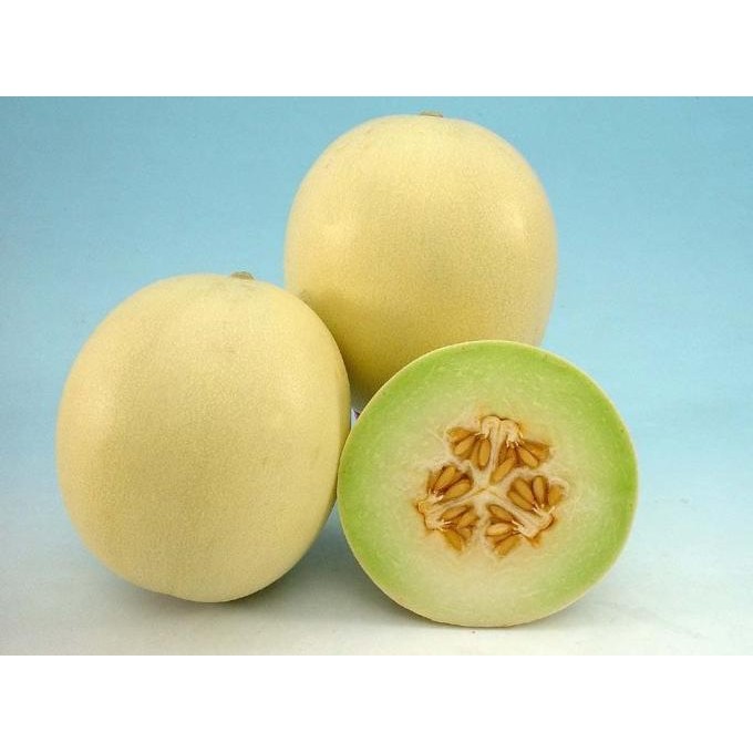 Benih Bibit Biji - Melon Apel Silver Light F1 Hybrid (Oriental Sweet) murah