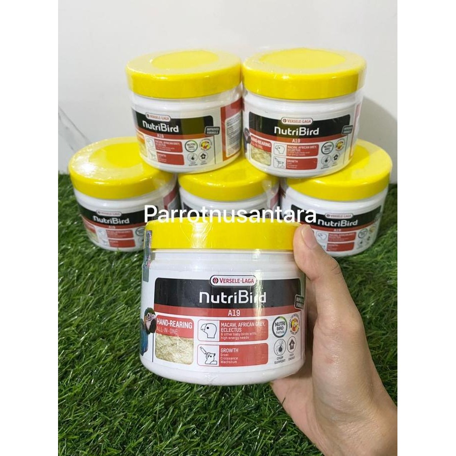 PAKAN LOLOHAN BURUNG PARROT NUTRIBIRD A19 murah