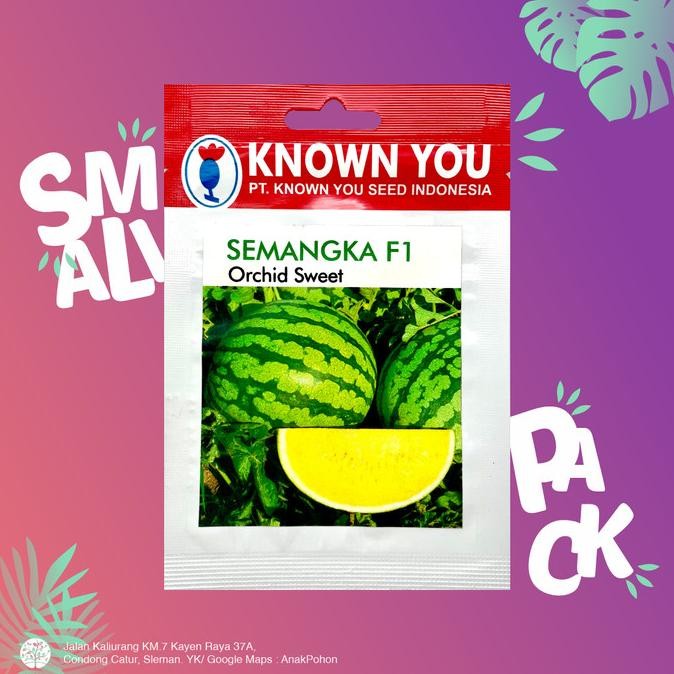 (1 PACK) Benih Semangka Kuning Orchid Sweet Seeds - Known You Seed KYS murah