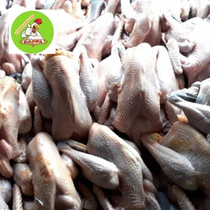 

(Good) Ayam Kampung Fresh Medium( super)850 gr - 950 gr