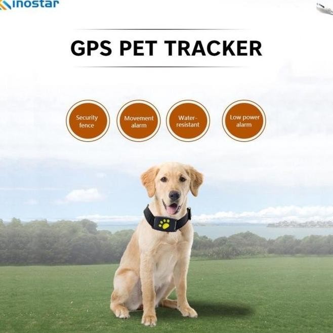 Kalung Gps Tracker Anjing / Kucing Tahan Air Dengan Charger Usb