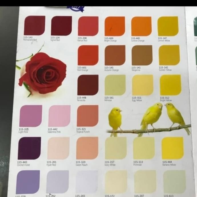 Terjangkau Cat Ftalit 20Kg 3