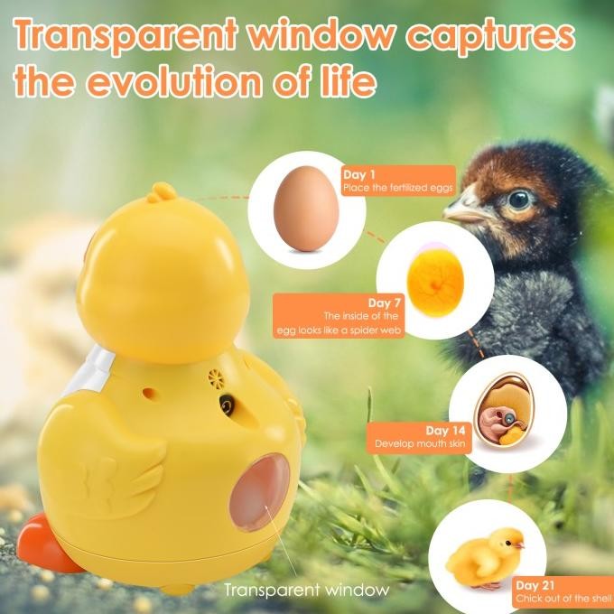 mesin penetas telur otomatis mini 6 butir egg incubator inkubator murah