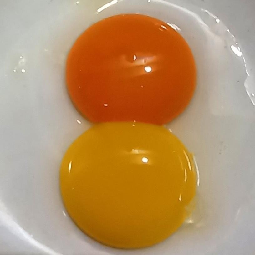 

Mma-1318 Telur Ayam Kampung Omega Grade A /Butir