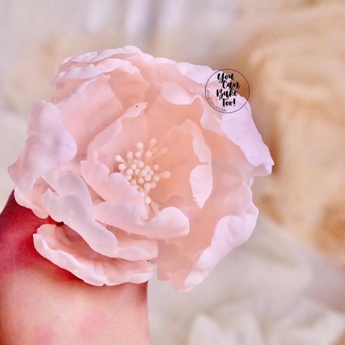 

Peony Kuncup/Mekar Elastic Flower Gumpaste murah