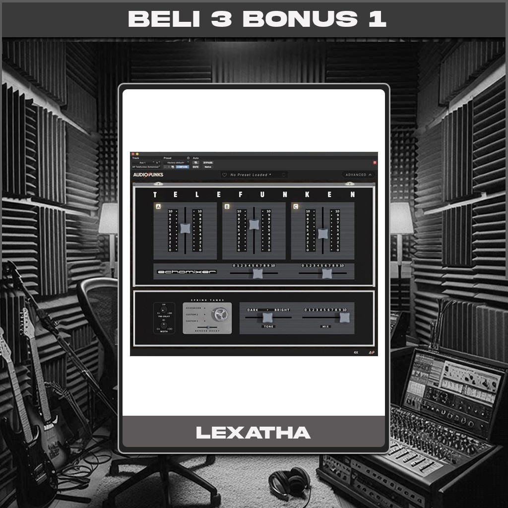 Audiopunks Telefunken Echomixer