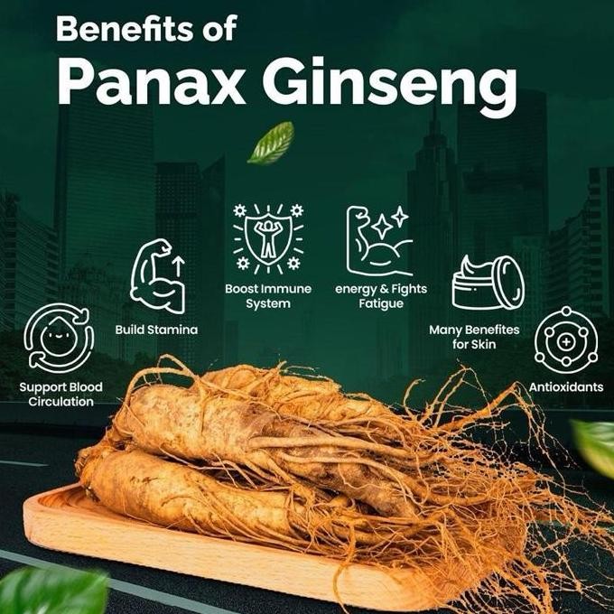 

Grosir Maxpresso Coffee Kopi Arabica Kopi Ginseng Kopi Stamina Dewasa