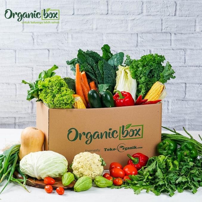 

Sale Cau Cacao Powder Premium 200Gr