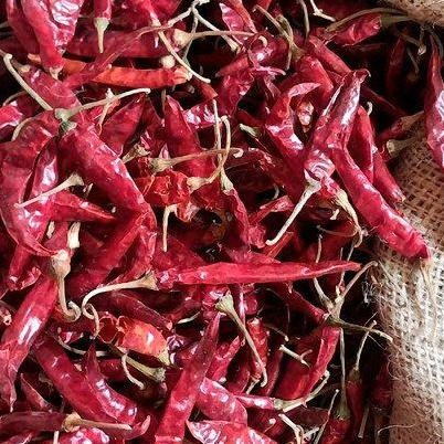 

1 G Cabe Teja Dengan Tangai Cabe Rawit Peda Ering Food Merah
