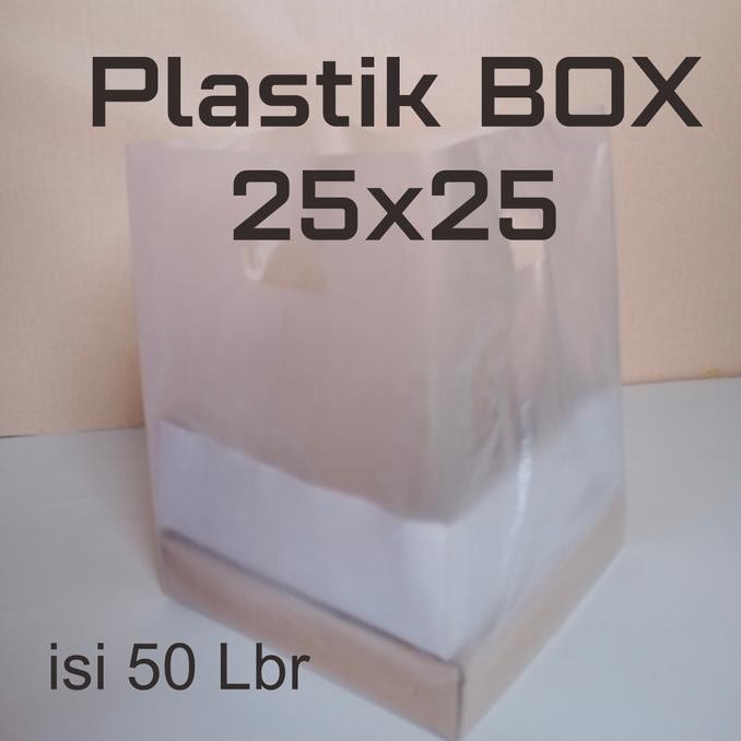 Kantong Plastik Box 25x25/plastik HD 25x25 Isi 50 Lbr murah