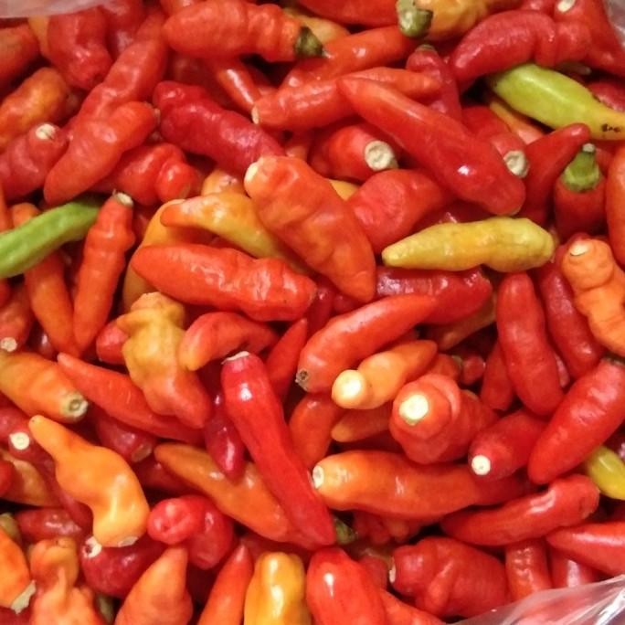 

U-45 Fcw - Cabe Rawit Merah (Ori/Petik) 100 Gram