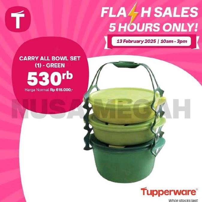 Tupperware carry all bowl rantang Kitchenware