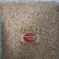 eqw-68 yt- Haver Kulit dan Kupas 100 Gram Biji Haver Seed Oats Oat Pakan Makanan Burung Lovebird Ken