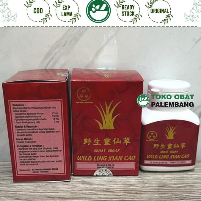 

Promo Wild Ling Xian Cao 30 Kapsul Sehat Segar Obat Kanker Wildling Xiancao