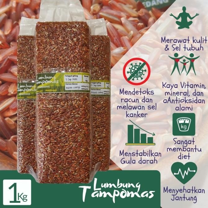 

Beras Merah Khusus Jantung & Diabetes Vakum 1kg Free Bubblewrap nUg