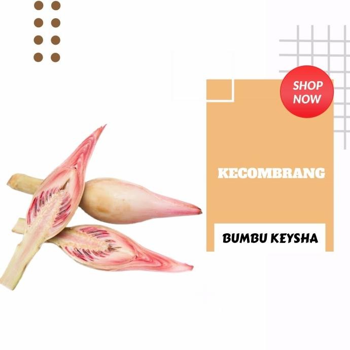 

Kecombrang/ kencong / honje nUg