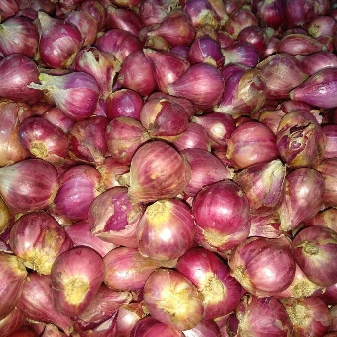 

Bawang Merah Super 250gr nUg