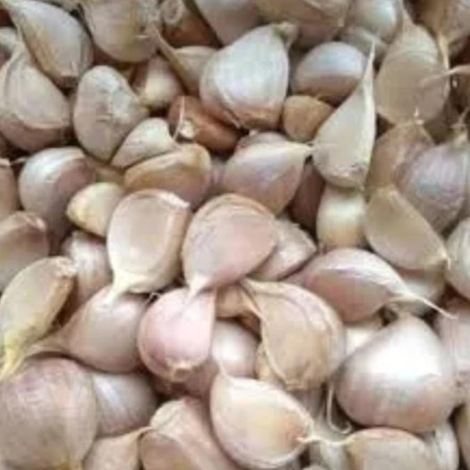 

Bawang Putih Kating Cating Bersih 250 gram nUg