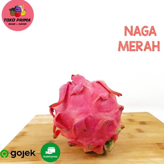 

BUAH NAGA MERAH 1 Pcs nUg