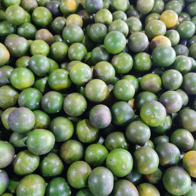

Jeruk peras Segar Asam/manis 1kg nUg