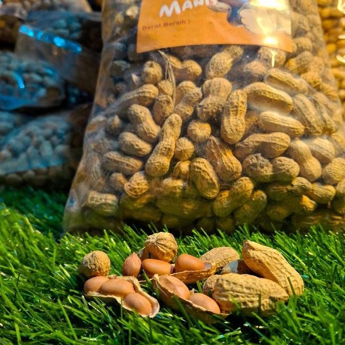 

Kacang Kulit Sangrai 1Kg Premium Food Snack Makanan Cemilan nUg