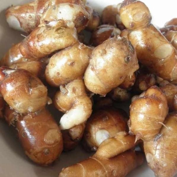 

Kencur nUg
