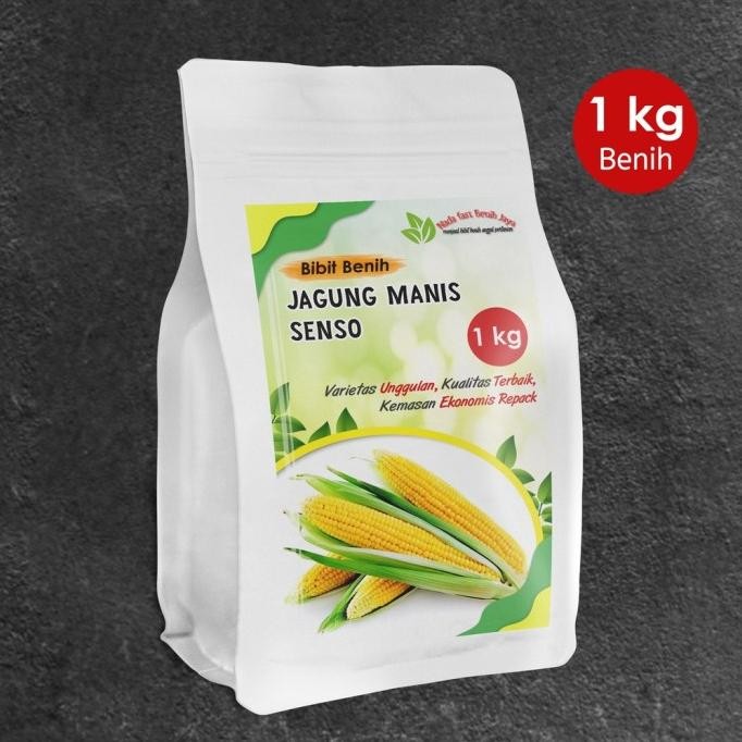 Bibit benih jagung manis super 1 kg benih tanaman jagung original