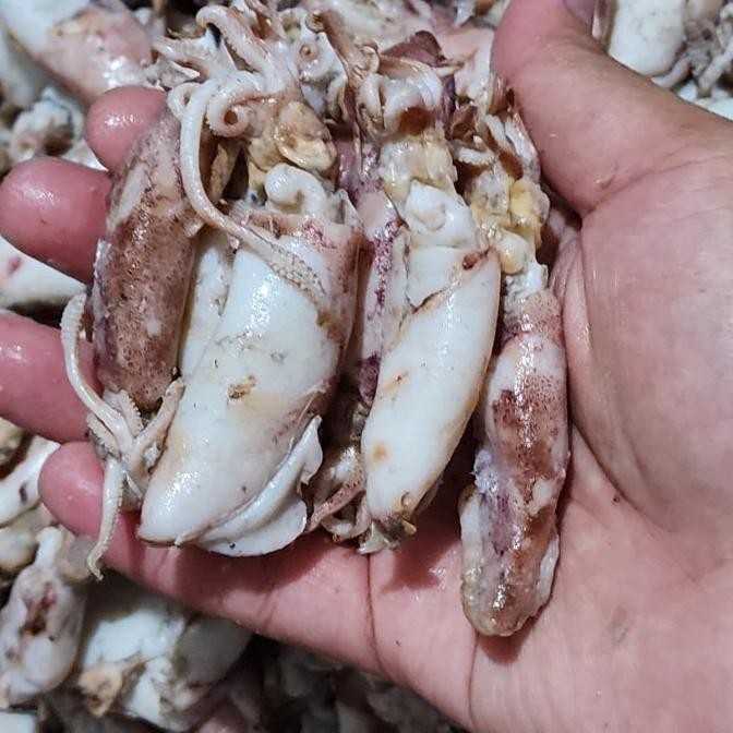 

Promo Ikan Asin Cumi Bule Bk Spr 10Kg/10.000Gram/1 Dus