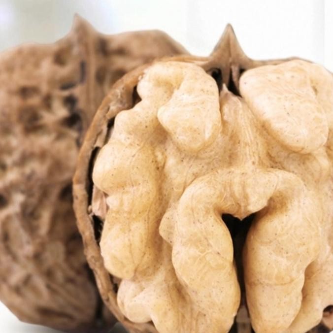

Sale Kacang Kenari/Walnut Kulit Belum Kupas 500Gr