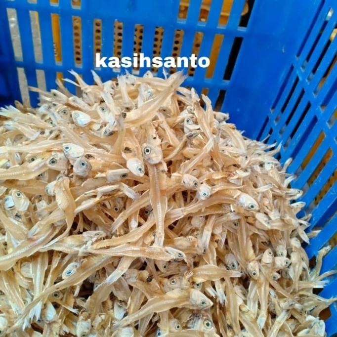 

Grosir Ikan Asin Teri Tawar Katak Super-1Kg