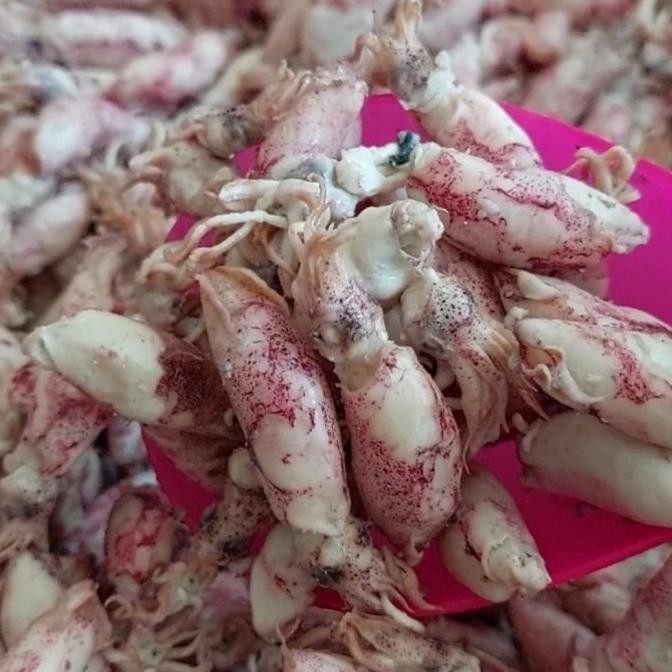 

Promo Baby Cumi Asin Kecil 10Kg / Cumi Baby Asin Grade A 10Kg