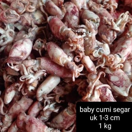 

Sale Cumi Asin Rebus Size Baby 1 Kg