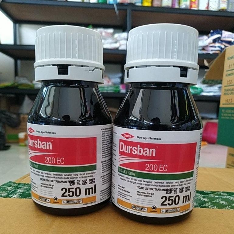 Insektisida DURSBAN 200EC 250ml
