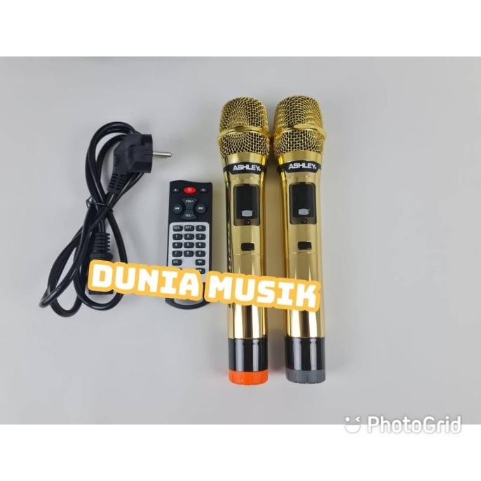 speaker portable ashley ir500 ir 500 / IR500 I R500 ORIGINAL