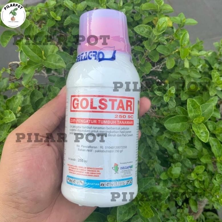 GOLSTAR 250 SC PUPUK ZPT VITAMIN BUAH 250 ML - GOLSTAR 250 ML BESAR