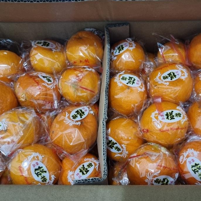 Murah Jeruk Ponkam Mandarin Per Dus