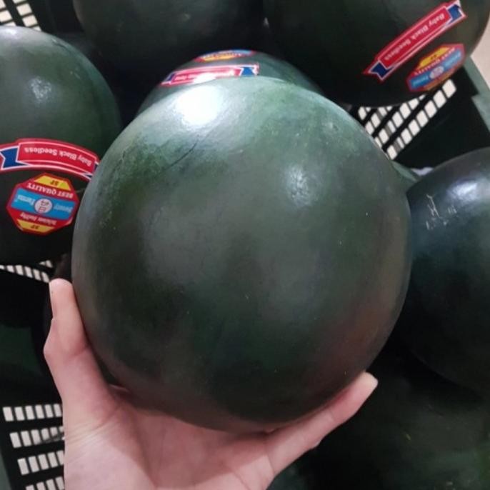 

Murah Semangka Baby Black Aussie (Manis, Seedless) Per Pcs