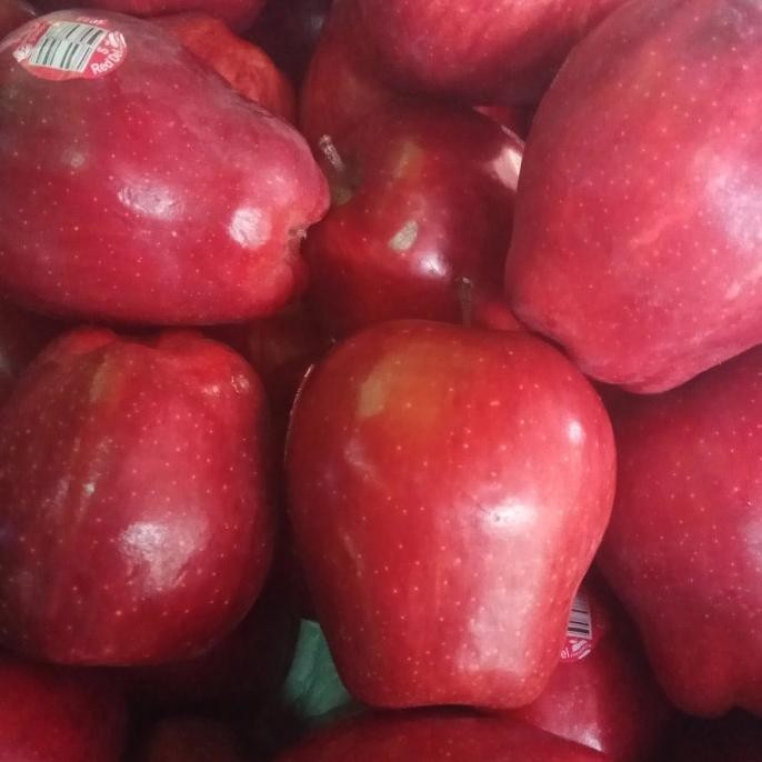 

Murah Buah Apel Merah New Zealand 1 Kg