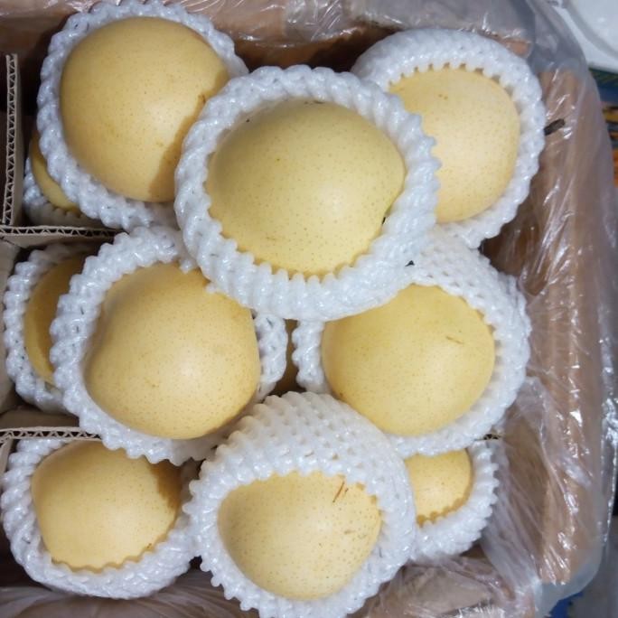 

Promo Buah Pear Century Fresh Manis Promo Per 3 Kg