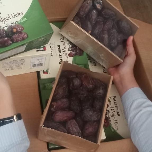 

Grosir Kurma Medjol Ranuna Palestine 1Kg