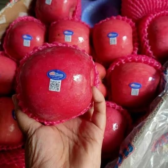 

Promo Apel Fuji Premium Wangshan Per Kg / Per Kardus