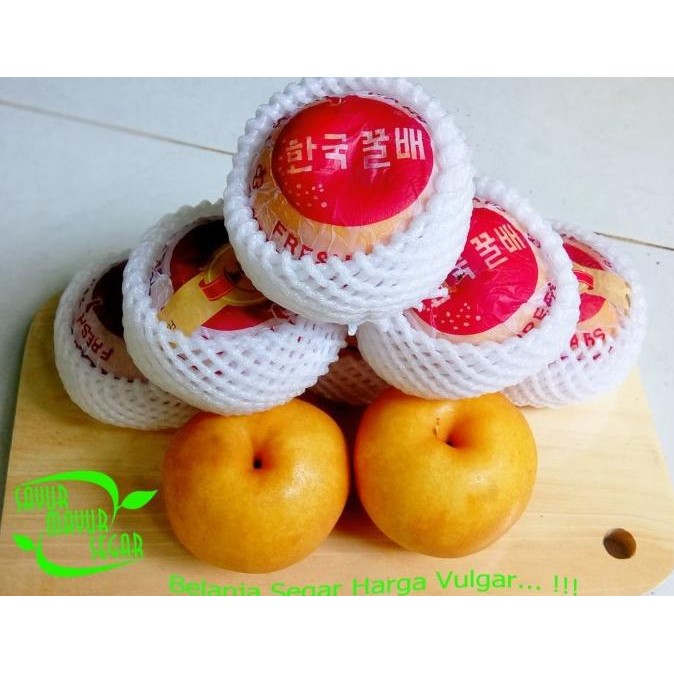 

Murah Premium Pear Singo Korea Original Not Rrc Buah Segar Dan Manis