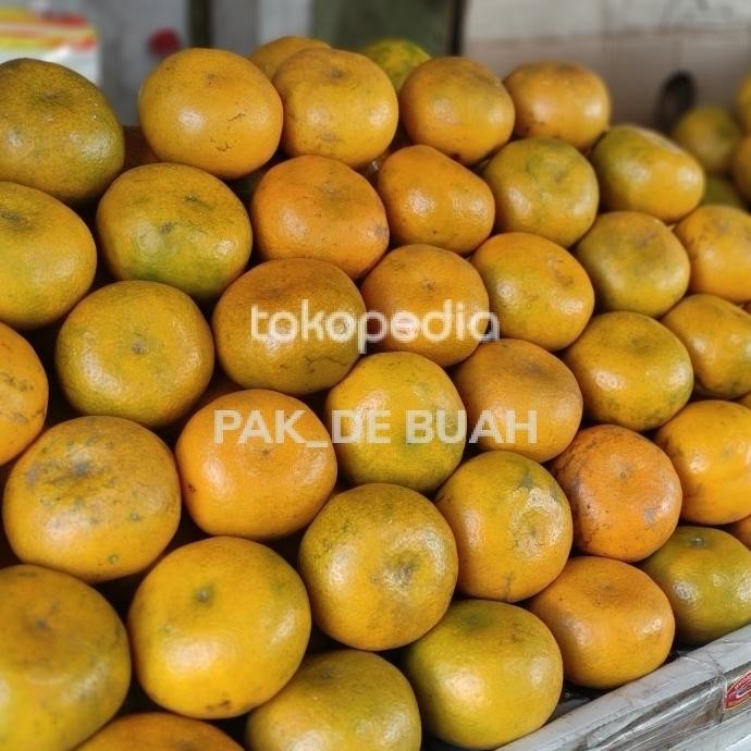 

Murah Murah Besar ( 5 Kg ) Jeruk Medan Asli Brastagi / Buah Segar & Fresh